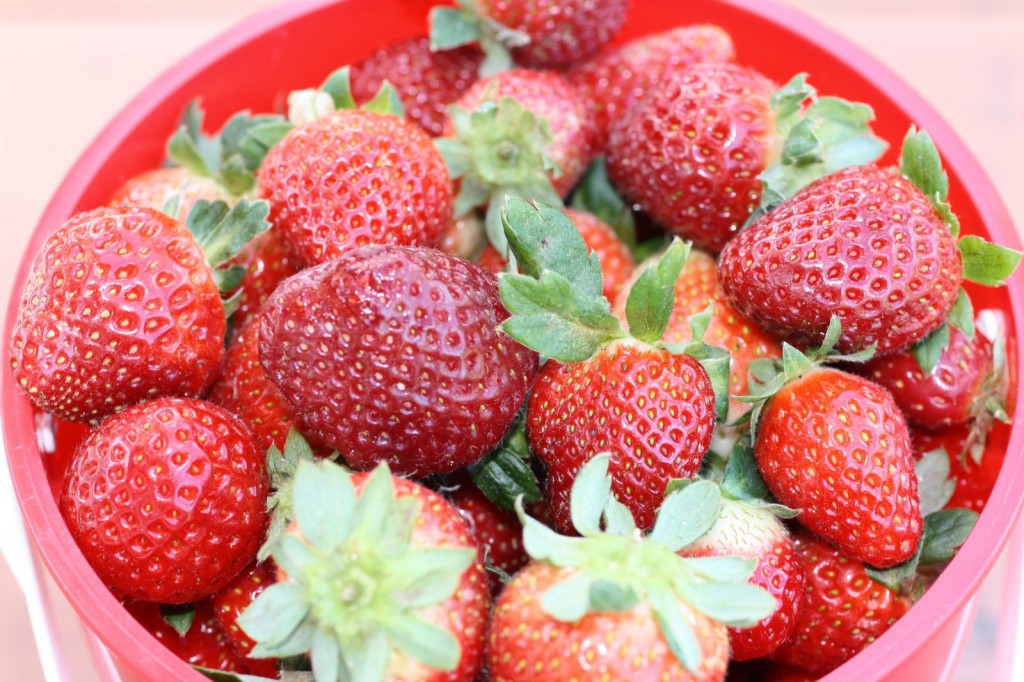 Girls Strawberries 5