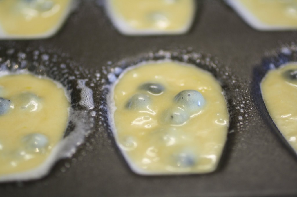 Blueberry Madeleine Batter