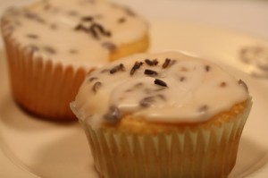 Lavender Cupcakes