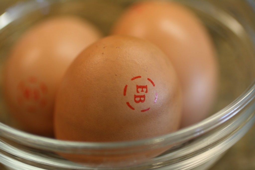 EB Eggs