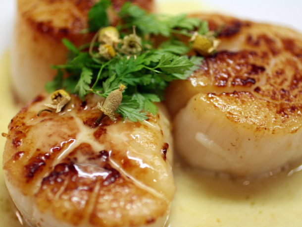 Seared Sea Scallops with Chamomile Beurre Blanc Seared Sea Scallops with Chamomile Beurre Blanc