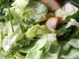 Fines Herbes Salad