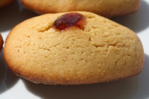 Peanut Butter and Jelly Madeleines