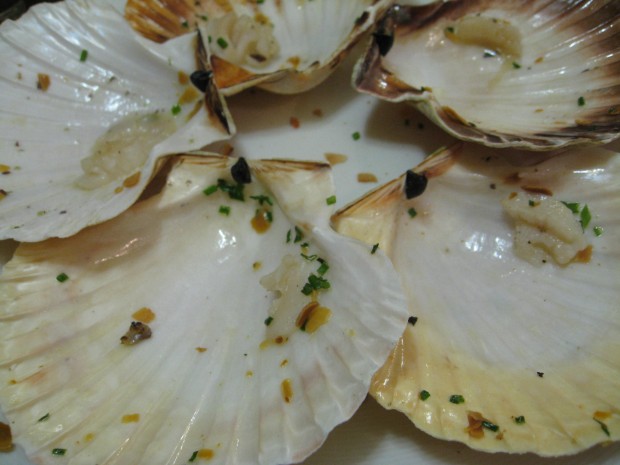 Scallop Shells, Le Comptoir