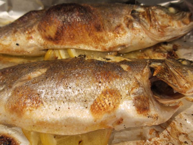 Charred Fish, Fresh from the Oven