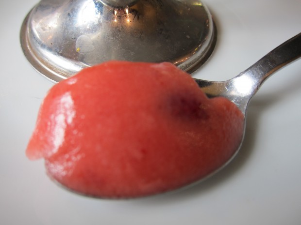 Fraise des Bois Sorbet