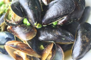 Bombay Mussels