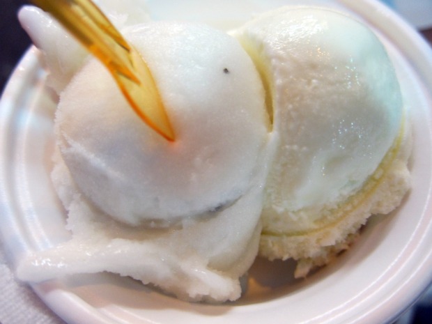 Fenocchio Thyme Sorbet Orange Flower Ice Cream