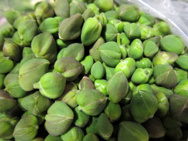 Fresh Capers Fresh Capers