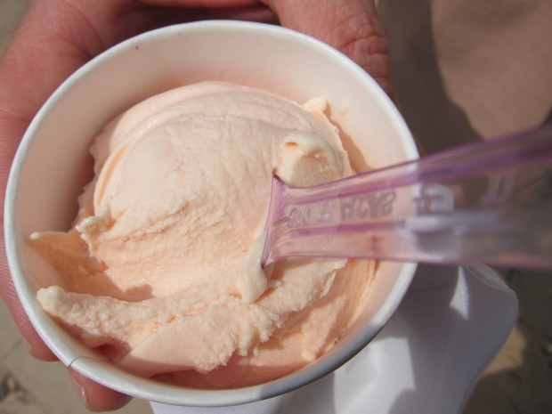 Pink Grapefruit Sorbet