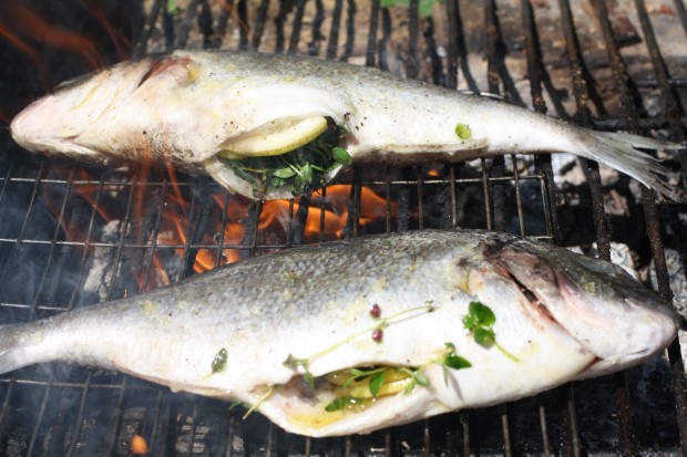 Grilling Fish