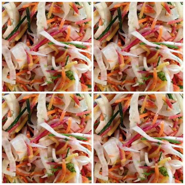 Carrot Fennel Chive Slaw Collage