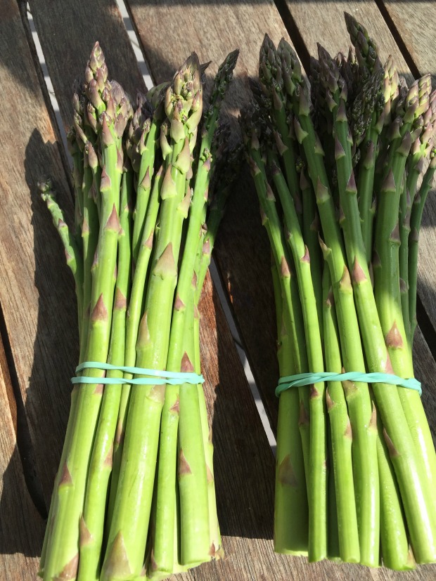 North Fork Asparagus