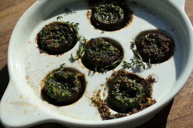 Escargot Mushrooms 1